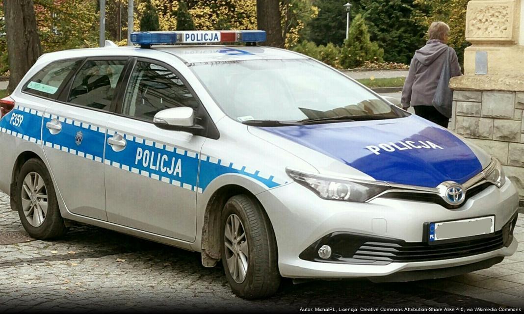 Interwencja policji w sprawie znęcania się w rodzinie