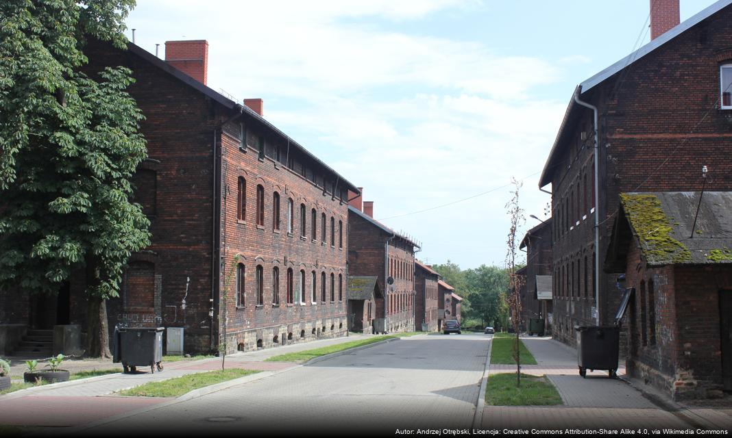 Emocjonujące zwycięstwo Górnika Zabrze nad Radomiakiem Radom